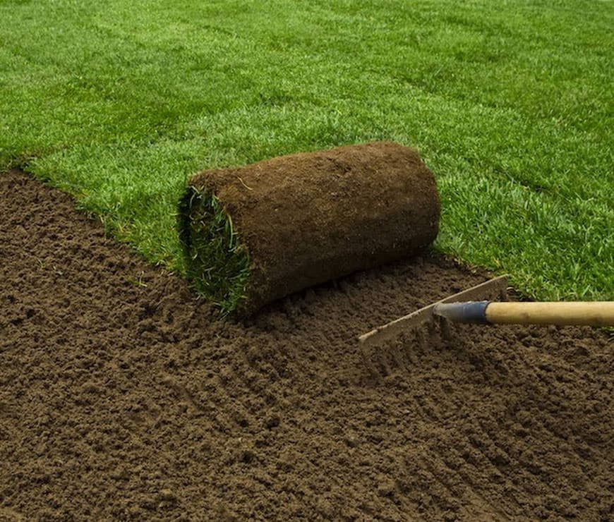 Installation de Gazon