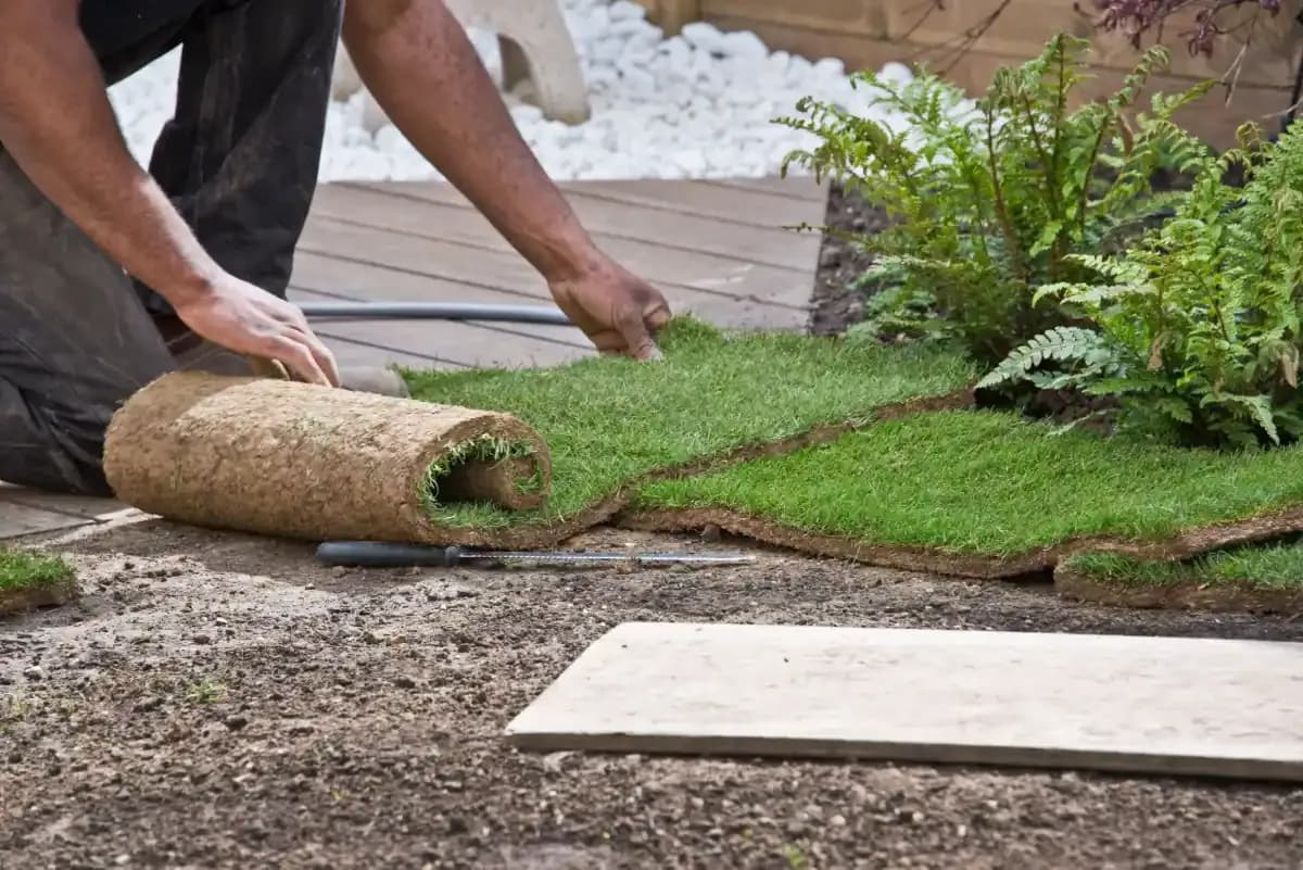 Installation de Gazon